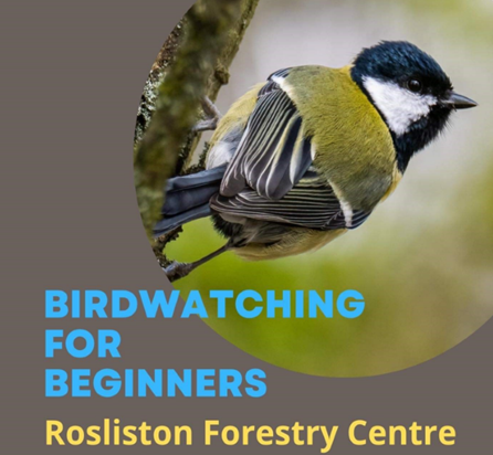 Birdwatching for Beginners