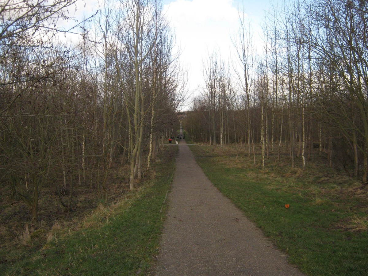 Swadlincote Woodlands path