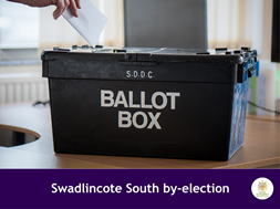 swad south by-election