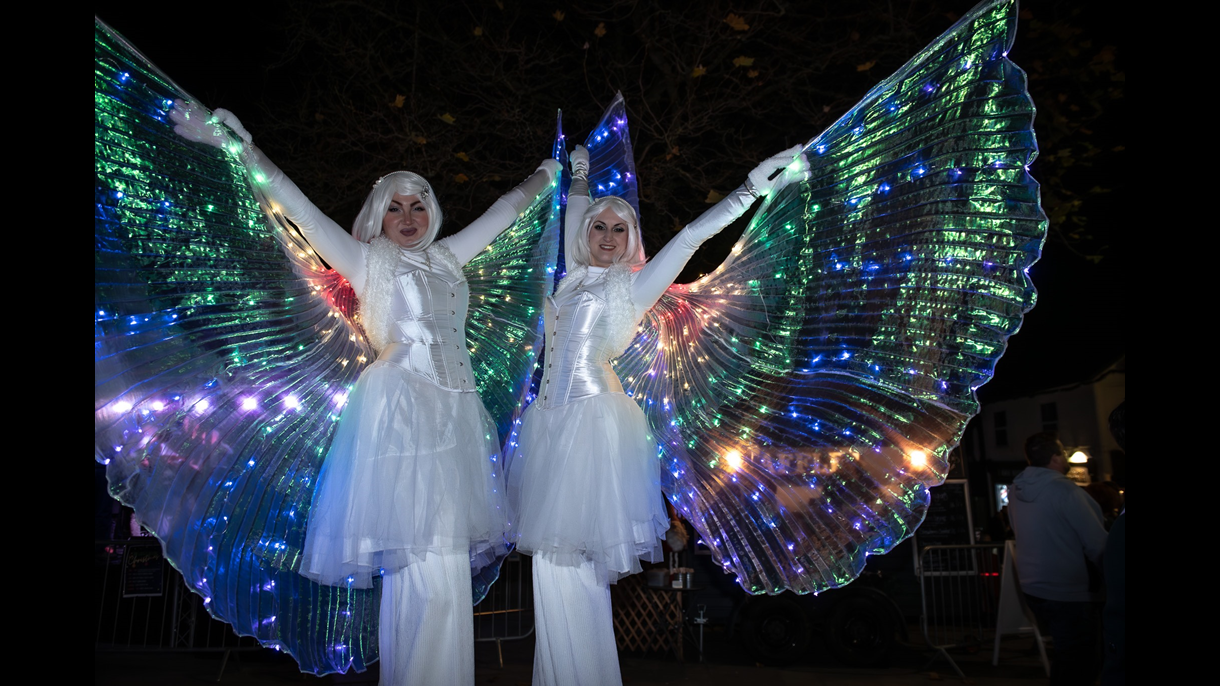 LED fairy dress