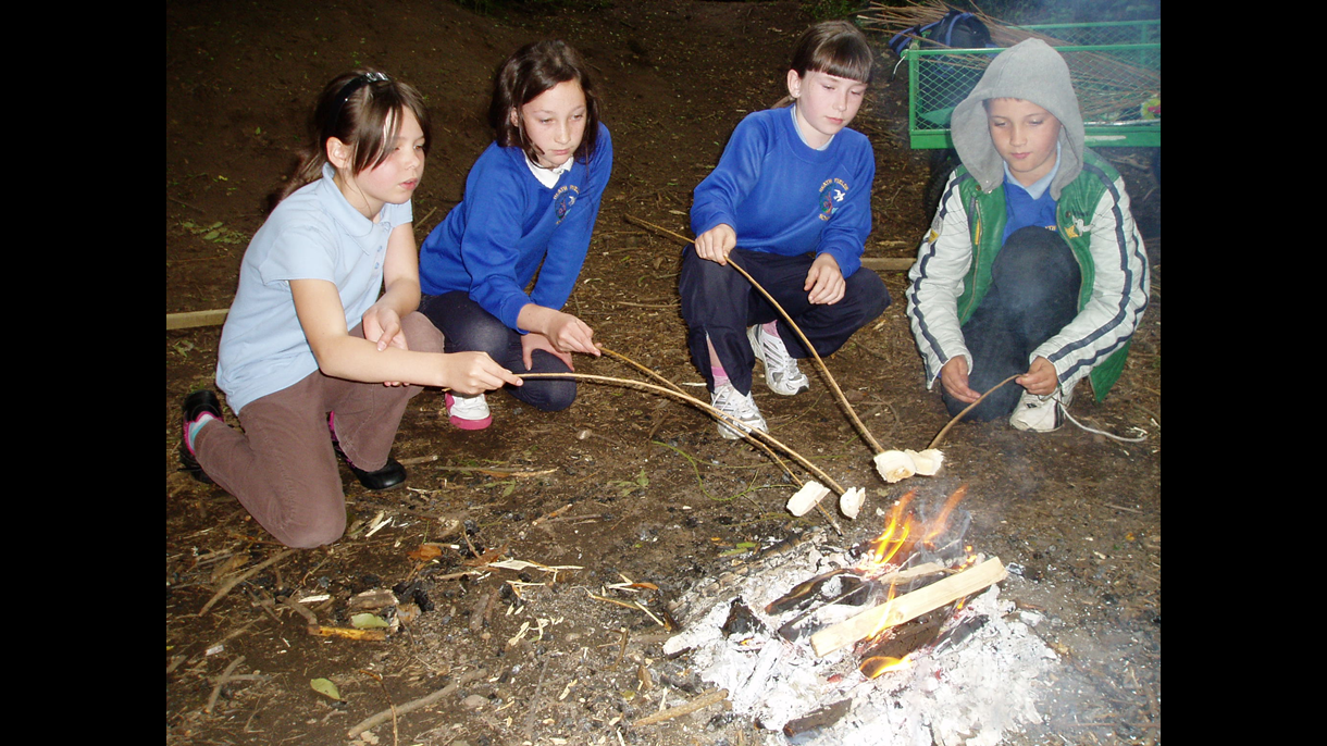 Toasting marshmallows in the woods
